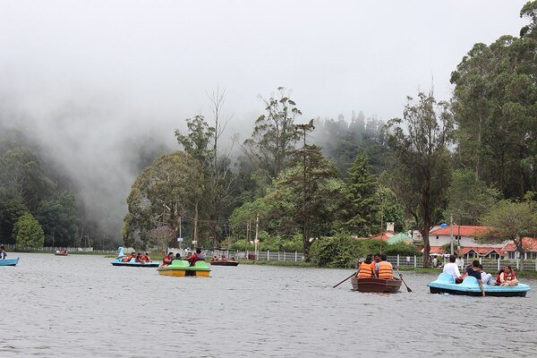 Best Ooty Tour Packages | Ooty Holiday Packages | Ooty Honeymoon Packages | Ooty Holiday Planner | Ooty Local Tour Packages | Ooty holiday planner | Best Ooty Travels | Best Ooty Travels Taxi Service | Taxi Services in Ooty | Best Tours and Travels in Ooty | Ooty cabs | Best Ooty tour packages | Ooty Best Taxi | Ooty Taxi Services | Ooty Travels | Travel Agency Near me | Travels in Ooty| Travel Agency in Ooty | Day Wise Tour Packages | Taxi Booking in Ooty | Cab Rentals in Ooty | Local Sightseeing Tours in Ooty | Sightseeing in Ooty | Travel Packages in Ooty | Ooty Car Rental | Taxi Booking in Ooty | Tour Packages in Ooty | Ooty Tour Packages |Honeymoon Packages in Ooty | Trip Planner Ooty | Best Travel Agency in Ooty | Ooty Travels Booking | Family Tour Packages | Adventure Tour Packages | Masinagudi Tour Packages | Jeep Safari | Budget Tour Packages in Ooty | Luxury Tour Packages | Holiday Packages in Ooty | Local Sightseeing Packages in Ooty | Tour Operators in Ooty | Travel Agents in Ooty | Ooty Tour Packages from Bangalore | Cab Rentals in Ooty | Cab Booking in Ooty | Local Sightseeing by Car in Ooty | Taxi Rentals in Ooty | Ooty Taxi Packages | Cheapest Cab Service in Ooty | Best Cab Service in Ooty | Ooty Sightseeing Cab Price | Ooty Local Sightseeing Packages by Car | Ooty Taxi Service | Taxi Service Ooty | Travels in Ooty | Room Booking in Ooty | Hotel Booking in Ooty | Outstation Trips | Ooty to Coimbatore Trips | Local Ooty Trips | Ooty to Bangalore taxi booking | Ooty airport taxi booking | Ooty local taxi booking | Ooty outstation taxi booking